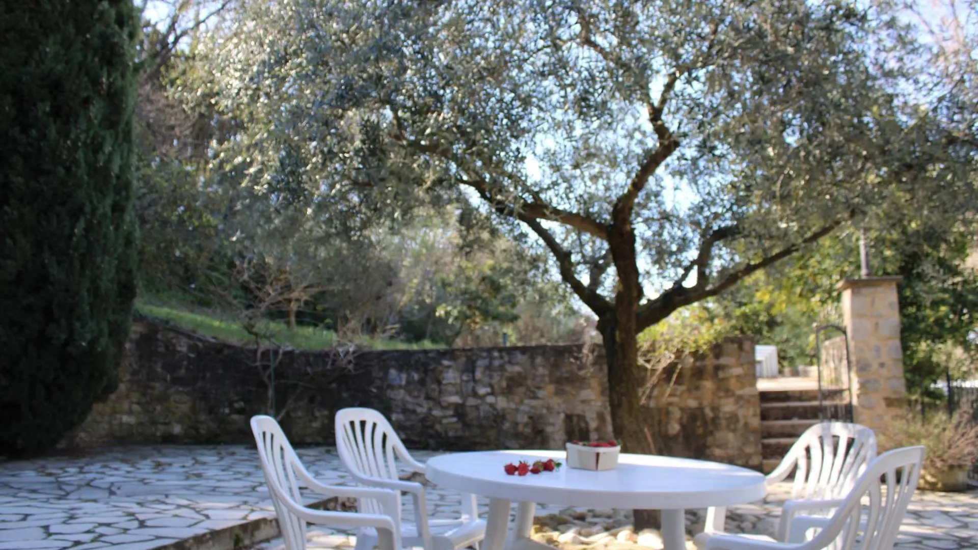 Mas Provencal Traditionnel Seguret Holiday home